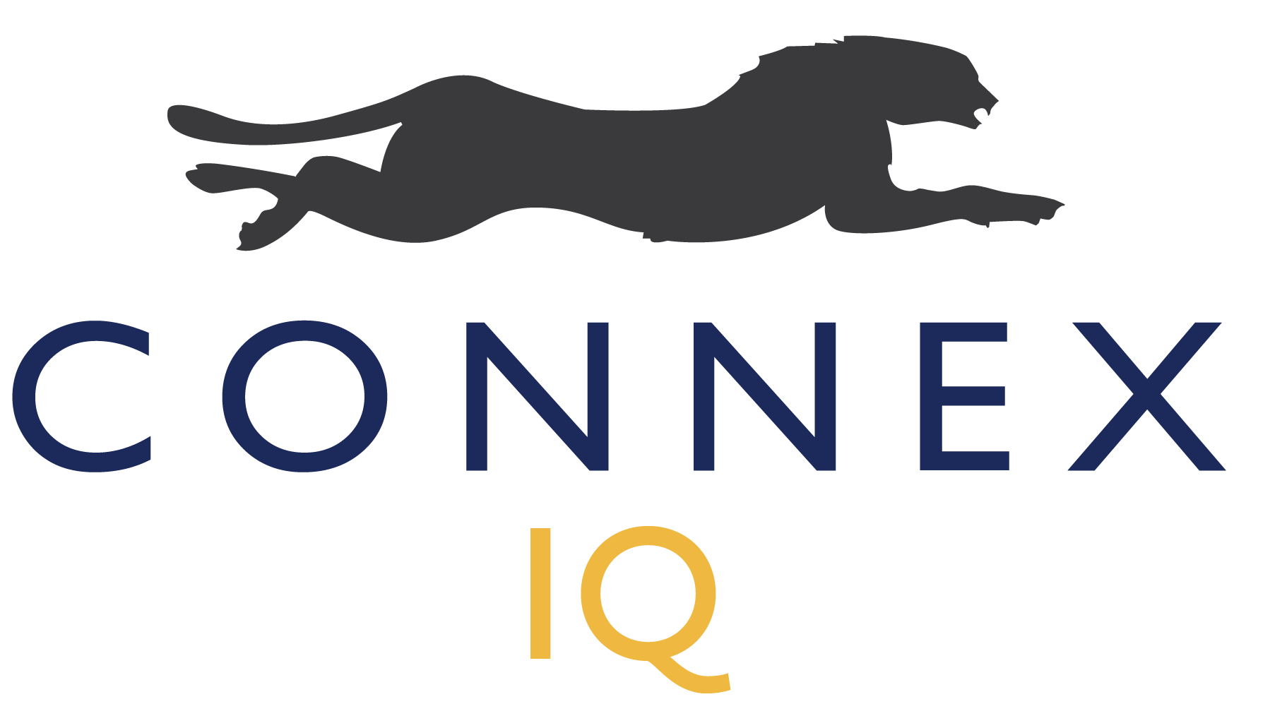 CONNEX IQ Logo